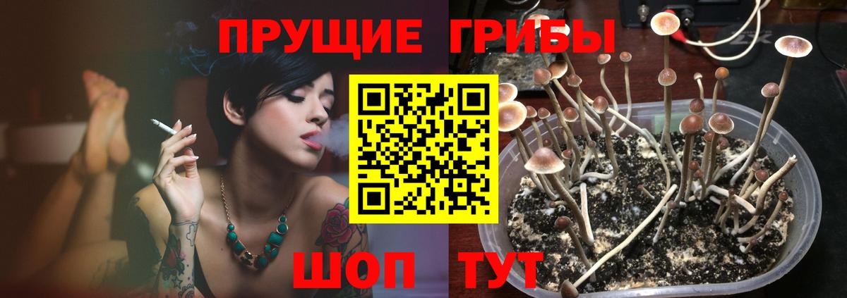 Канаш  Псилоцибиновые грибы мухоморы  Вход с VPN 